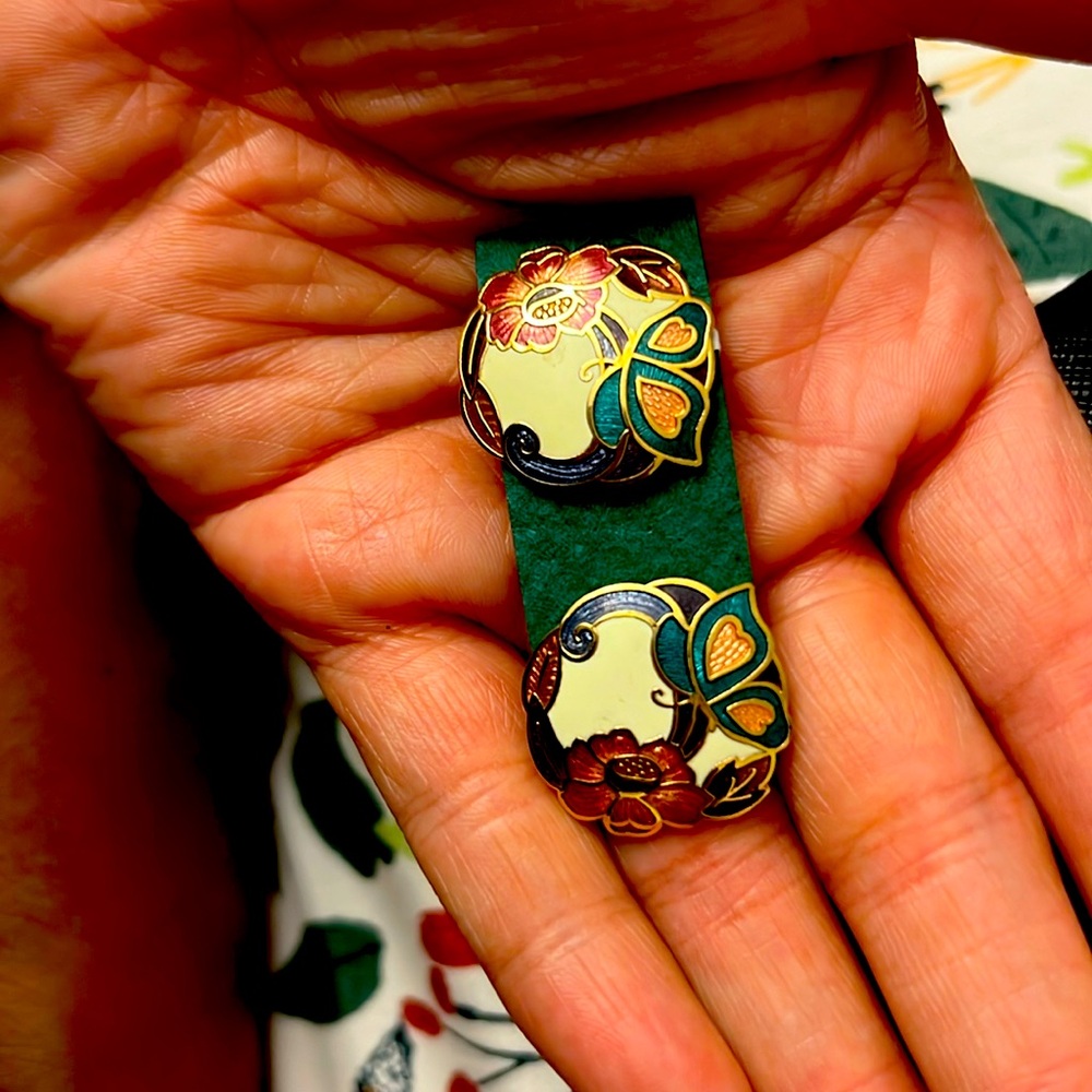 Money earrings